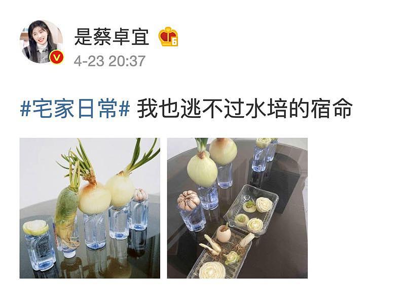 王大陆的绯闻女友蔡卓宜，在家自种水耕蔬菜。 （取材自微博）