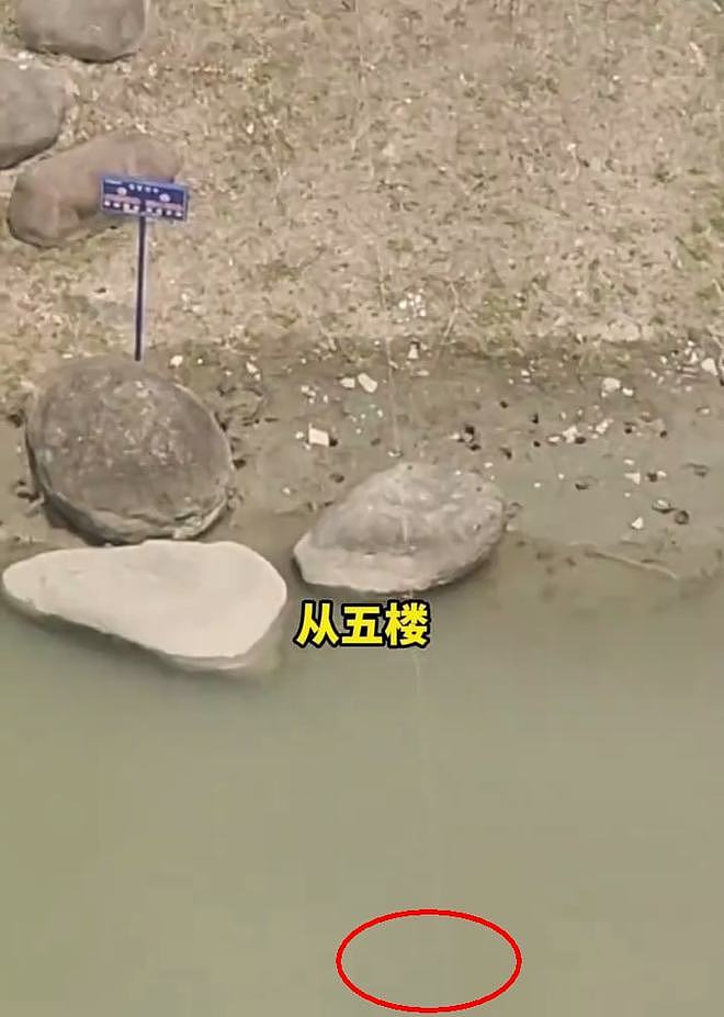 上海男子在五楼钓鱼走红，邻居：楼下河里真有鱼（组图） - 3