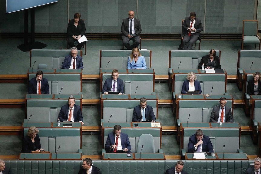 Labor politicians sit with large gaps between them in the green House of Representatives