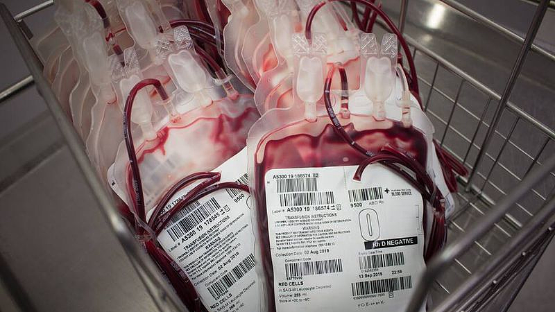 时隔22年，澳洲解除英国疯牛病献血禁令！超70万澳人可以献血了（组图） - 2