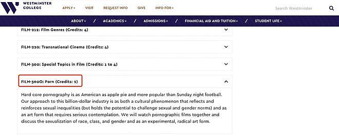 美国知名大学开“AV鉴赏”课，学生上课看片拿学分（组图） - 2