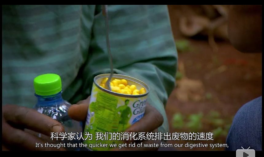 BBC纪录片盘点全球最不健康的饮食方式，中国人中了好多箭…（图） - 57