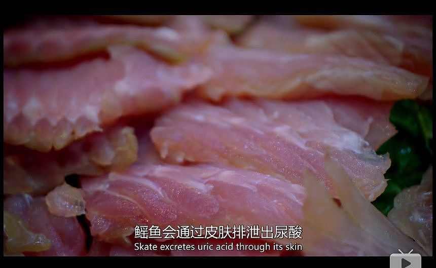 BBC纪录片盘点全球最不健康的饮食方式，中国人中了好多箭…（图） - 93
