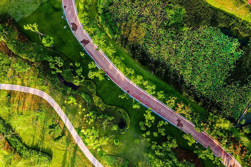 An aerial view of greenery at Chengdu city, China