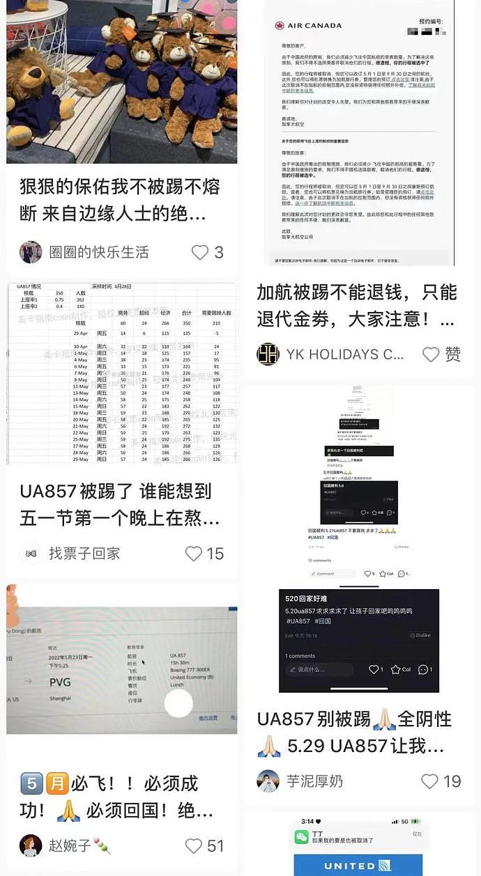 回国难！华人网友哭诉：花9万买的回国机票，被航班无情“踢人”（组图） - 10