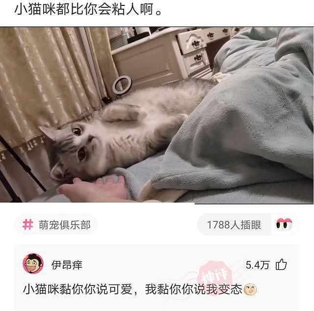 【爆笑】“反正人长得美，穿衣服就任性，走在大街上也不用怕尴尬”，哈哈哈（组图） - 29