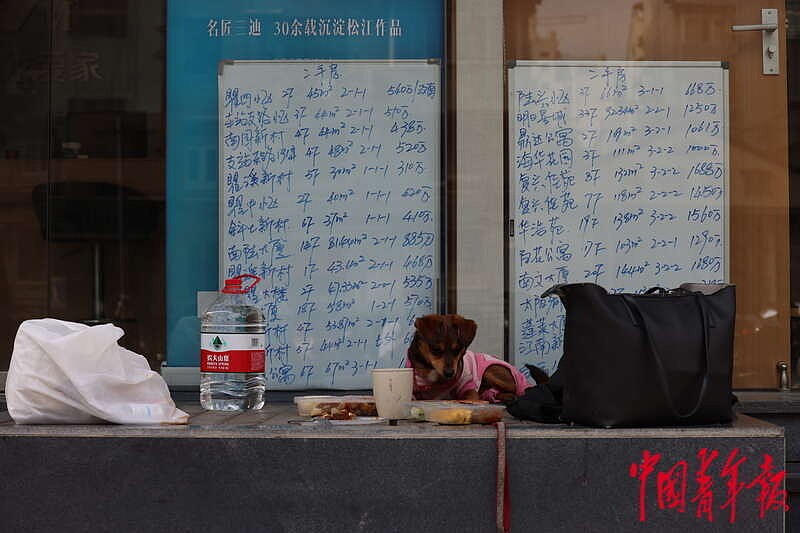 对话上海“电话亭女士”：吃喝别人给，身上是名牌，活得简单自由（组图） - 4