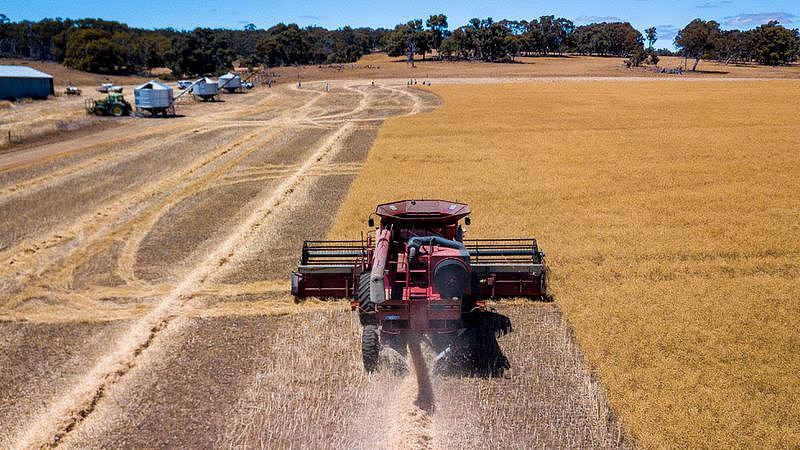 化肥成本上涨致澳洲粮农受挫，预计未来几个月粮食产量下降，推高食品价格（组图） - 2