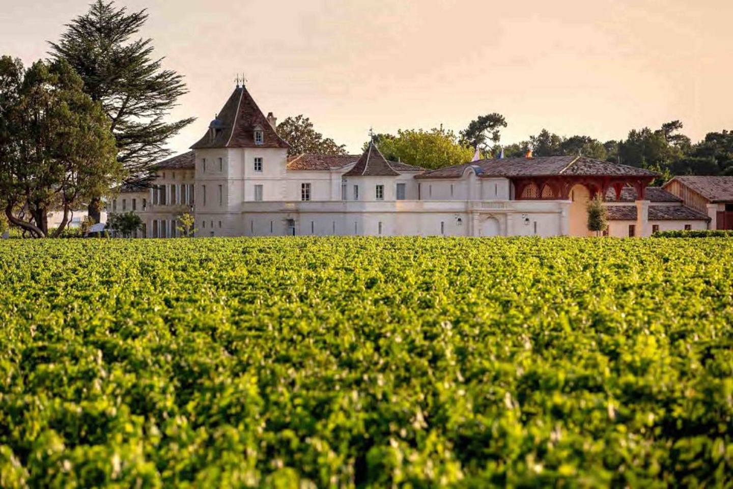 黃有龍及趙薇於2011年，擲約4,000萬港元買入的法國波爾多夢隴酒莊。（夢隴酒莊官網）