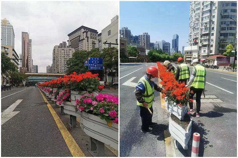 为迎接开放后的新生活，上海绿化市容部门开始重新植栽新花。（取材自上观新闻）