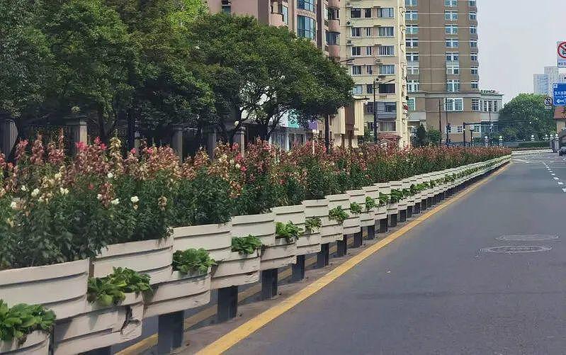 因为疫情欠缺维护的上海各街道花卉几乎都已枯萎。（取材自上观新闻）