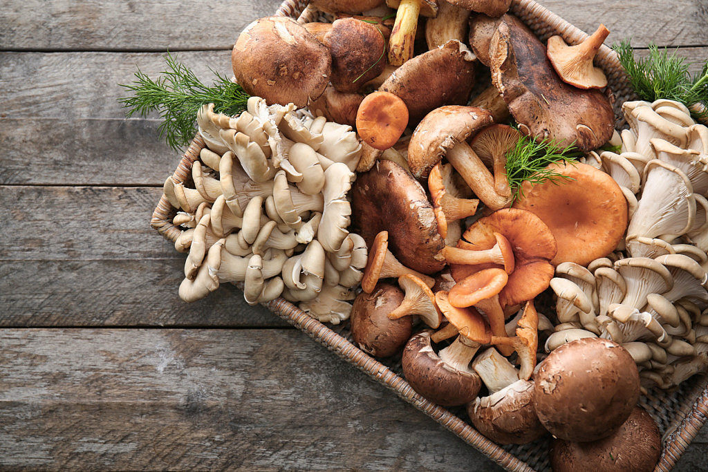 different-types-of-mushrooms.jpg,0