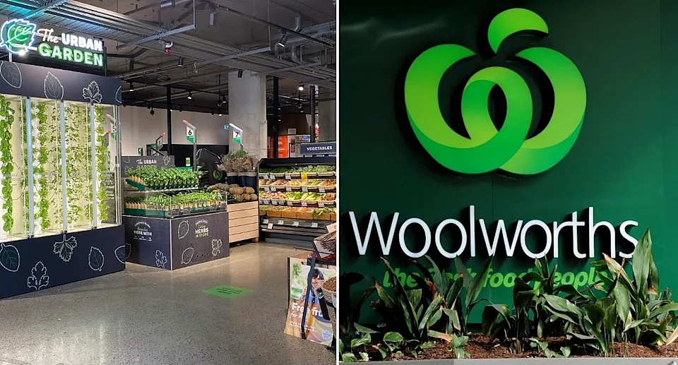 Woolworths在悉尼推出店内“垂直农场”，各类香草$3/束！新鲜又环保（组图） - 4
