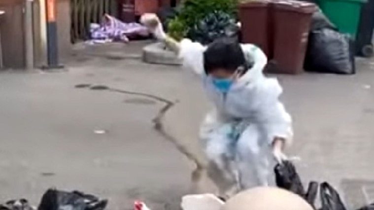 中国上海一个社区不准许居民团购的「活鱼」进入，负责人只好在社区门口将活鱼一条条当场摔死。 翻摄《大象新闻》