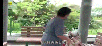 TVB女主持采访“恐怖老鼠屋”时惨遭袭击，被70岁老妇殴打，画面曝光（组图） - 11