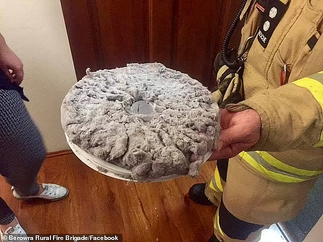 衣服洗完一股焦味，悉尼居民发出求助！消防员检查过后惊恐不已...（组图） - 2