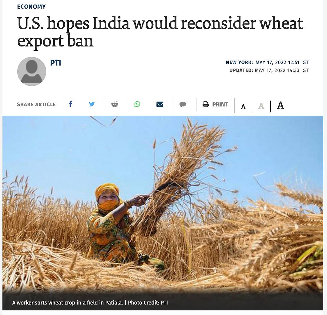 欧洲小麦价格创新高，美驻联合国代表：希望印度重新考虑禁止小麦出口的立场