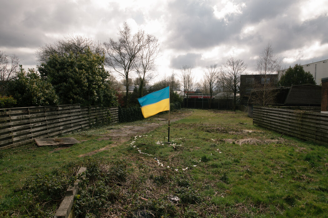 在阿姆斯特丹附近，乌克兰国旗插在属于乔里特·法森的土地上，他是普京大女儿玛丽亚·弗拉基米罗芙娜 ·沃伦佐娃的前夫。