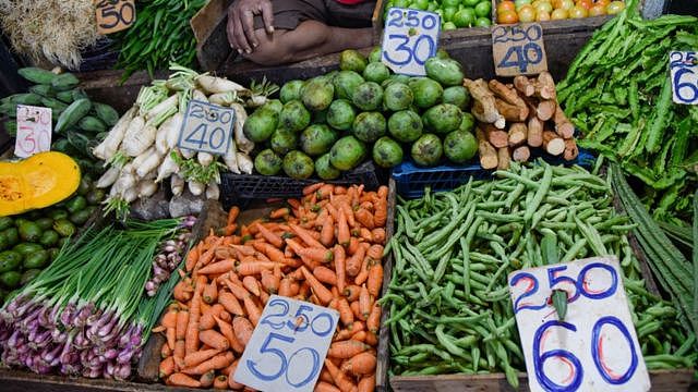 2021年的蔬菜价格
