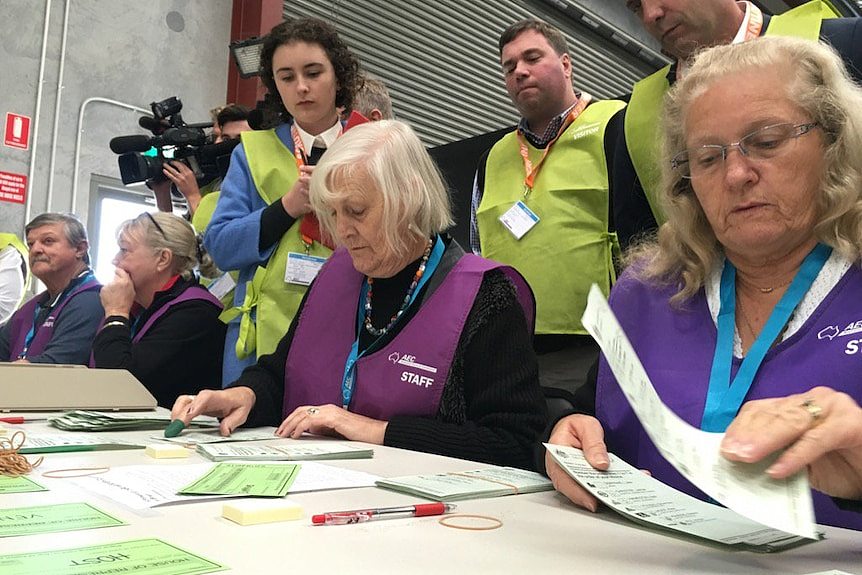 澳大利亚选举委员会工作人员正在计算考恩选区的选票。