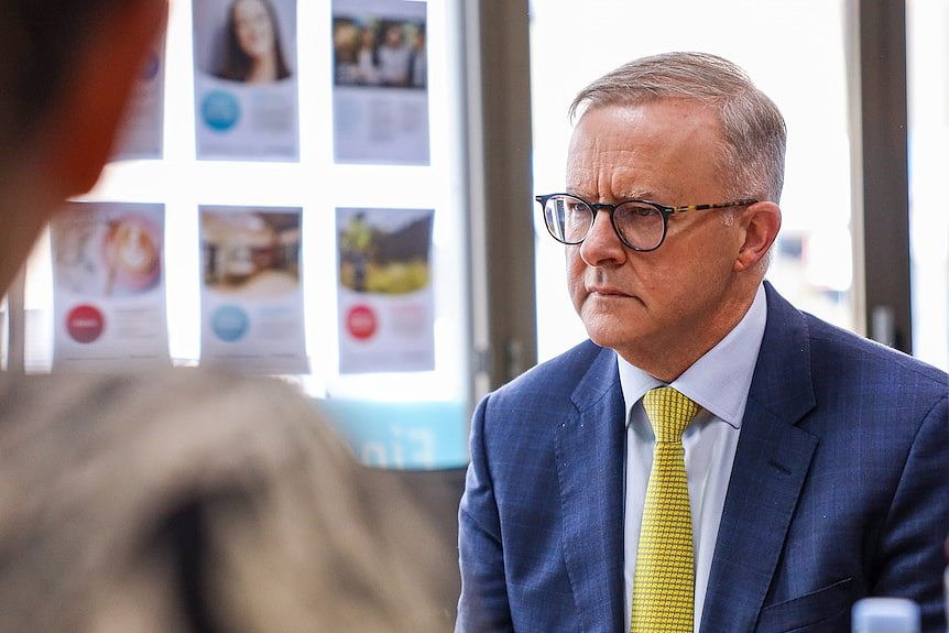 Labor leader Anthony Albanese