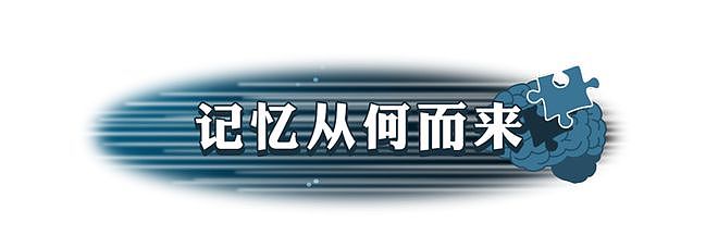 【科普】小时候见过鬼？大脑为何要删除3岁前的记忆？（组图） - 8