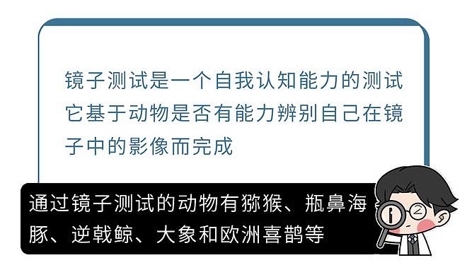 【科普】小时候见过鬼？大脑为何要删除3岁前的记忆？（组图） - 17