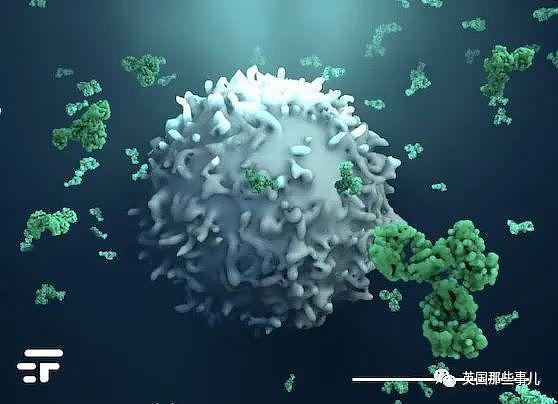 美国开始人体实验新型溶瘤病毒 治愈癌症新希望?（组图） - 6