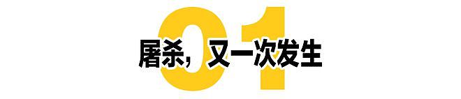 枪手只有18岁，美国大屠杀者为何越来越年轻？（组图） - 2