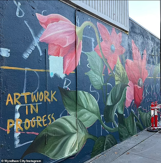 澳洲街头惊现“阴茎花”壁画，引发巨大争议！当地民众怒批“可耻”（组图） - 6