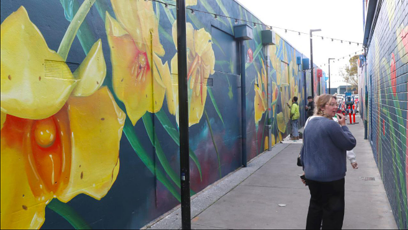 澳洲街头惊现“阴茎花”壁画，引发巨大争议！当地民众怒批“可耻”（组图） - 9