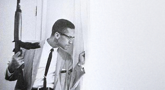 Malcolm X穿着西装打领带拍照，手持 M-1 半自动卡宾枪凝视窗外