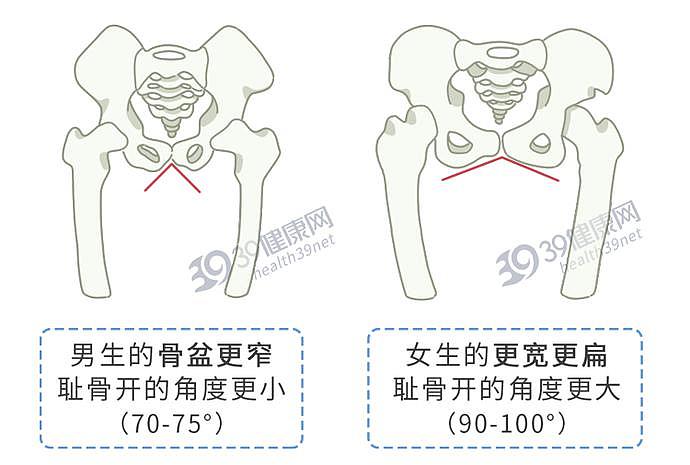 【涨知识】男生的屁股是什么做的，为啥那么饱满，比女生还翘？（组图） - 9