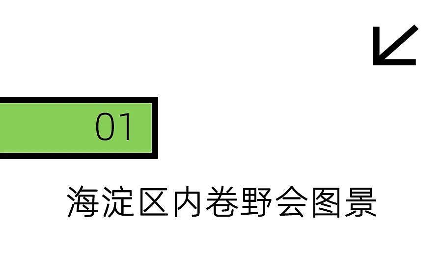 为了开会，北京人在绿化带卷了起来（组图） - 4