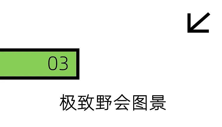 为了开会，北京人在绿化带卷了起来（组图） - 14