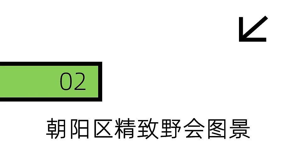 为了开会，北京人在绿化带卷了起来（组图） - 9