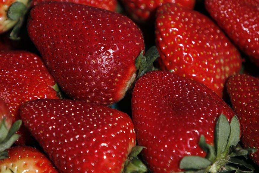 FDA称最新的甲肝感染可能与新鲜有机草莓有关（图） - 1