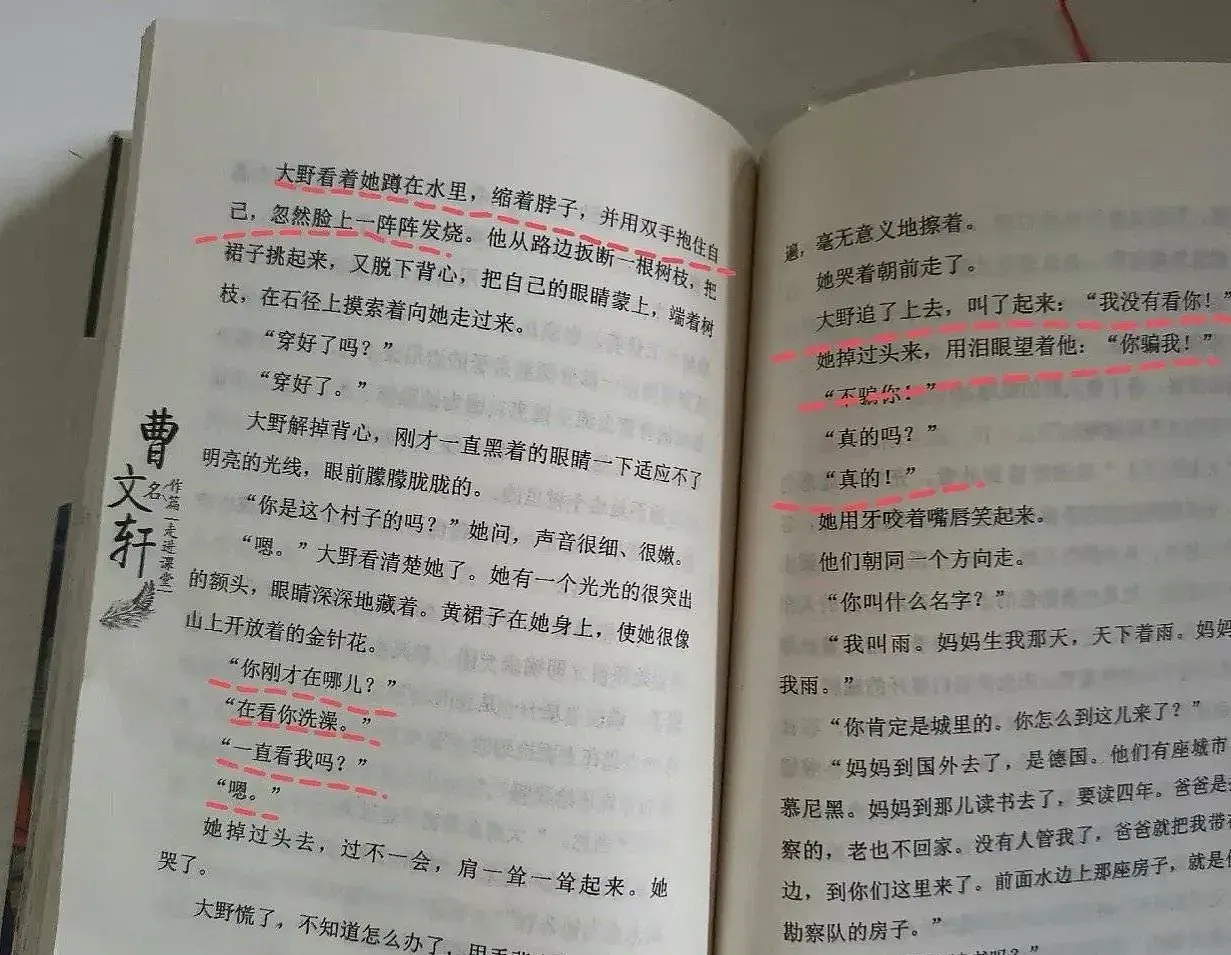 有家长发出了疑问：曹文轩你究竟是儿童读物作家还是色情作家？