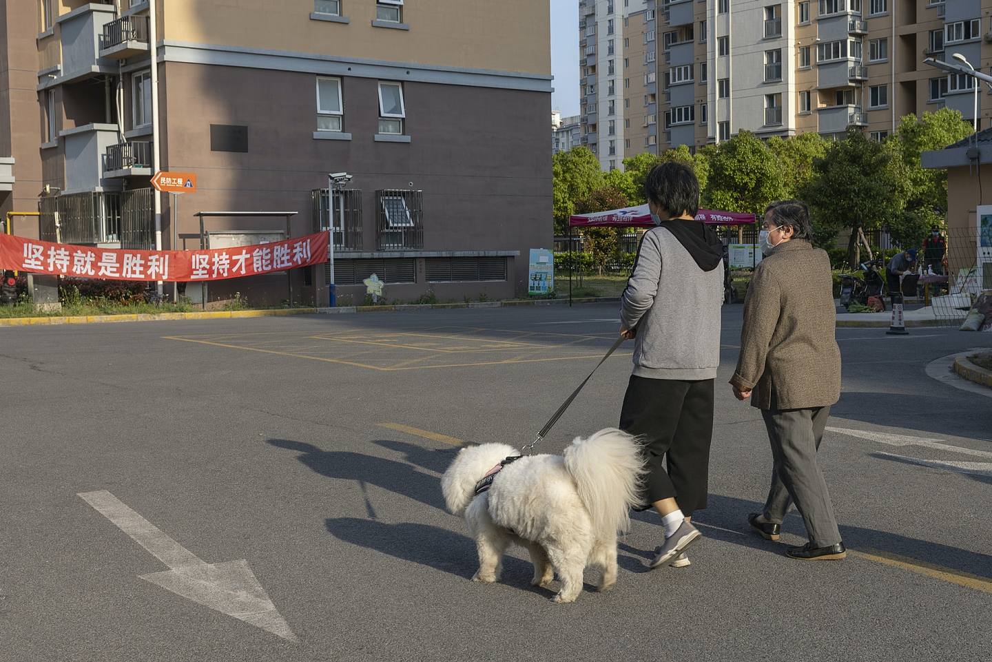 2022年4月12日，市民在上海的一个住宅区遛狗，在Omicron激增后，上海约2500万人处于严格封锁的第二周。 （Getty Images）