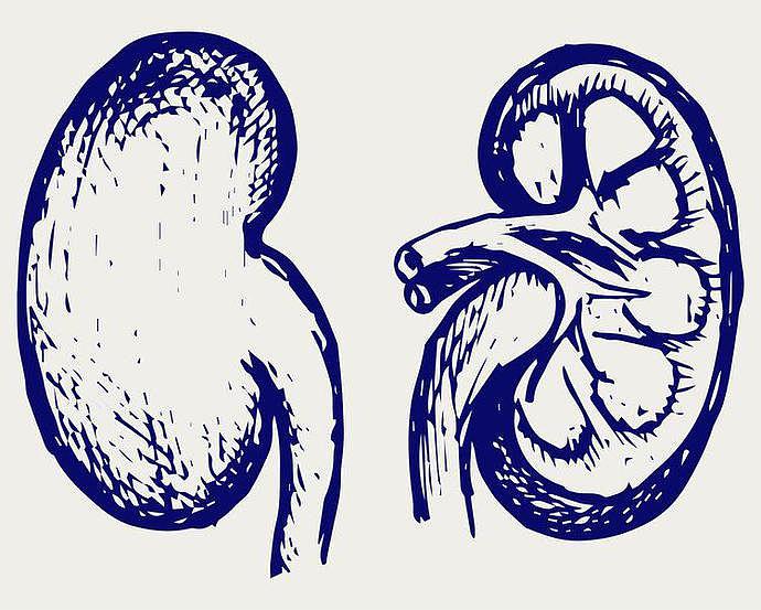 【健康】肾病来临，腿部先知？提醒：双腿出现3个异常，或是肾衰竭找上门（组图） - 1