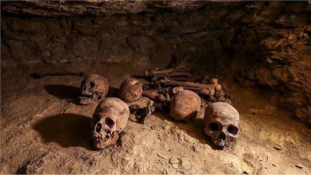 科学家们惊讶地发现，人类脑容量在3000年前就开始萎缩了(Credit: Mohamed El Shahed/Getty Images)