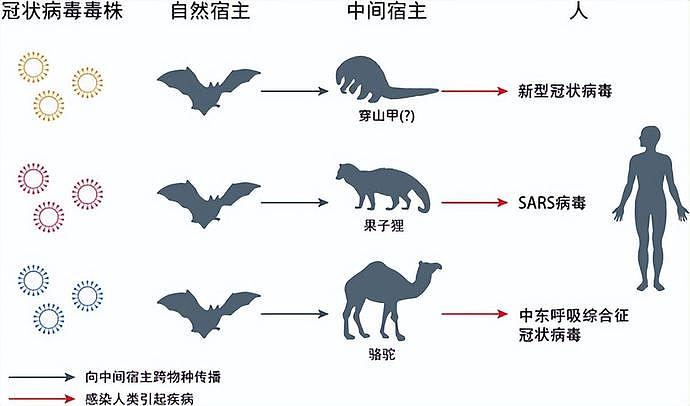 更大的灾害还未降临？比尔盖茨惊爆：下一场大流行有50%在20年内发生（视频/组图） - 8