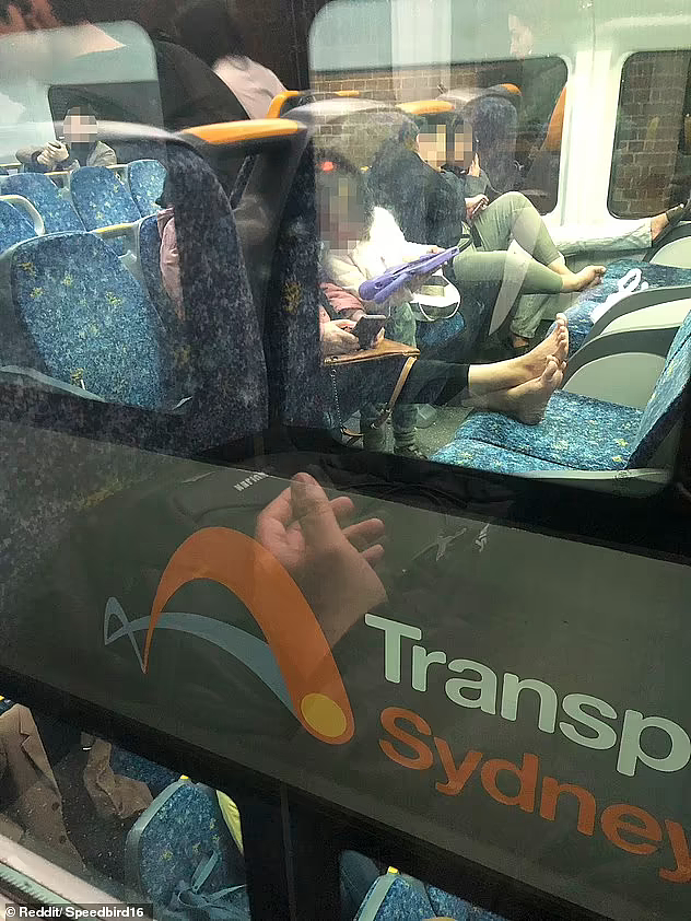 乘车礼仪哪去了？手机外放、剪指甲...悉尼乘客“坏习惯”引热议！小心重罚（视频/组图） - 3