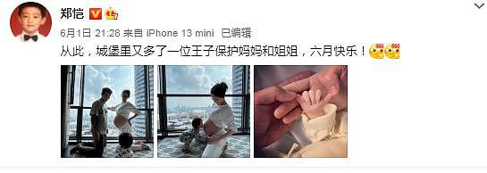 郑恺老婆被吐槽是生子机器，知情人曝婆婆不支持要二胎，苗苗想生（组图） - 1