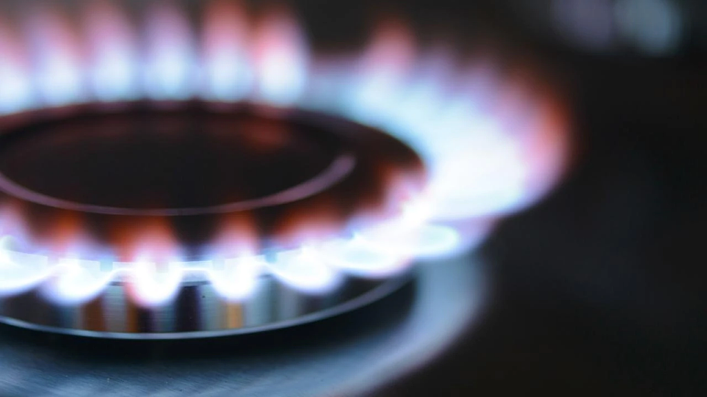 国家党党魁呼吁政府与天然气公司建立联系，解决能源危机（组图） - 3
