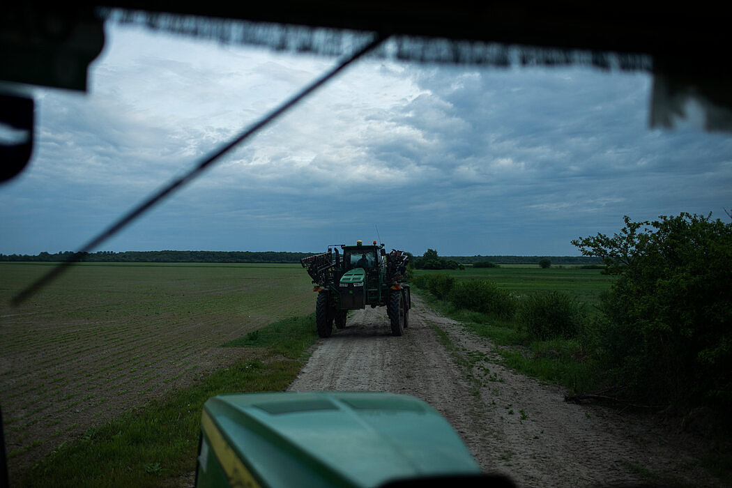 5月，乌克兰利沃夫的农场。许多国家严重依赖俄罗斯和乌克兰的粮食出口。