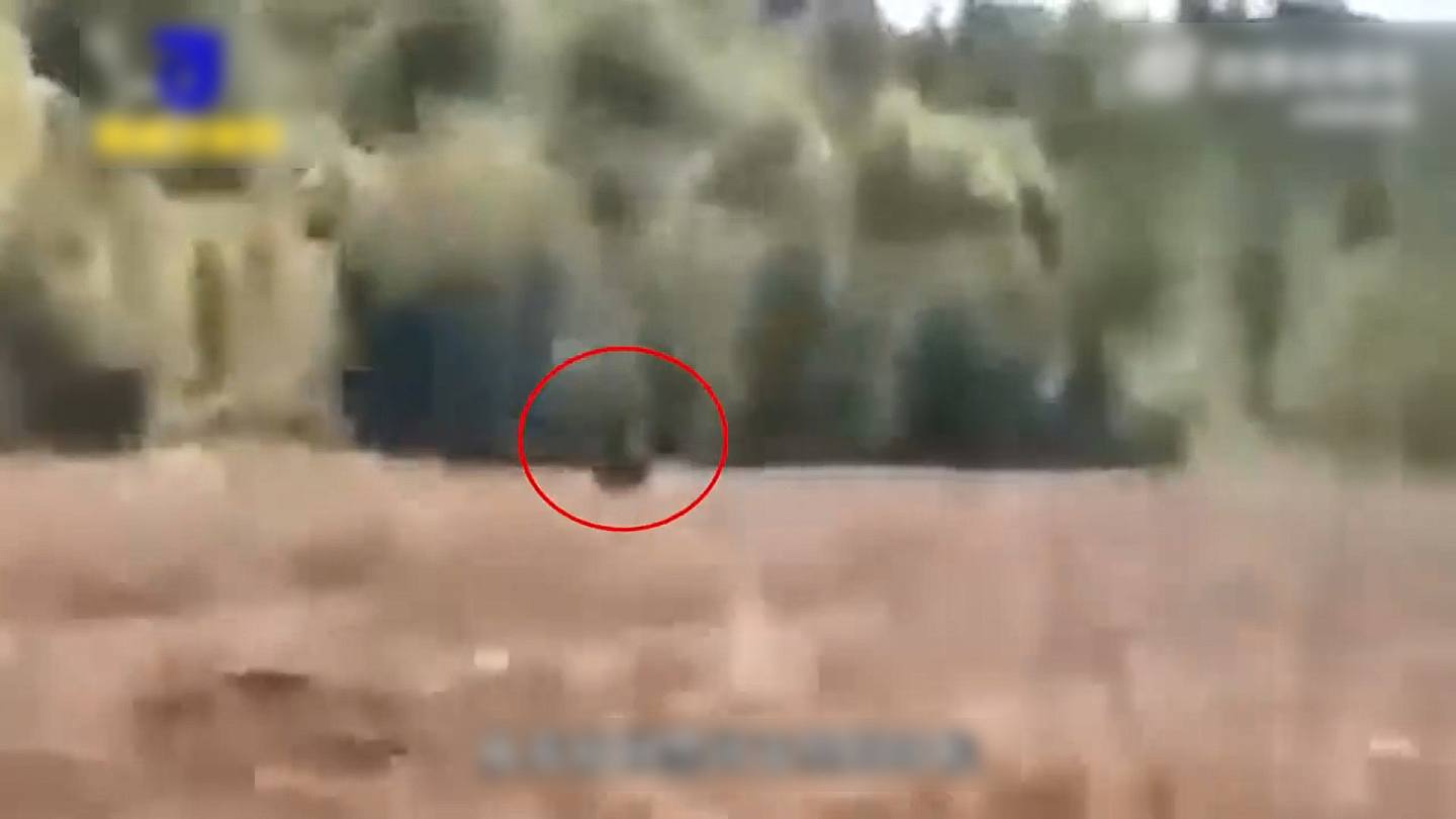6月4日，黑龙江有民众亦在田地上发现体长2米的黑熊，幸好无人受伤。 （微博影片截图）