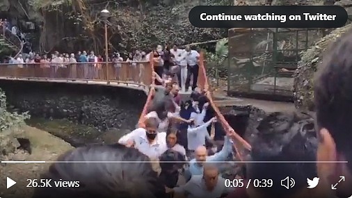 墨西哥库埃纳瓦卡市7日为刚修复完工的吊桥举行启用典礼，不料市长等20余人在通行时，吊桥突然发生断裂。 图: 翻摄自推特
