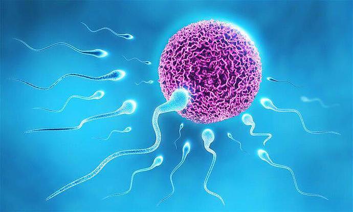 【健康】男性禁欲一段时间，能提高精子质量？健康的精子，常有这4个特征（组图） - 5