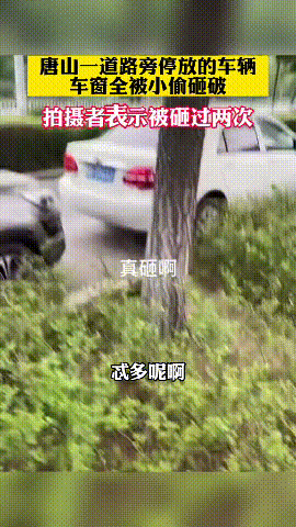 猖狂至极？唐山一道路旁停放车辆被砸，CCTV采访车也没能幸免（视频/组图） - 3